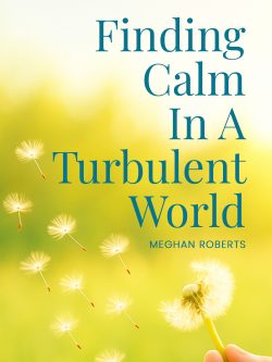 Finding Calm In A Turbulent World: Train your brain to discover a happier, calmer and more confident you in work & relationships.